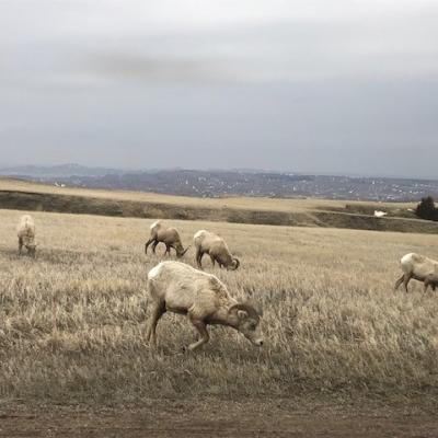 A photo of the players in Badlands, National Park 